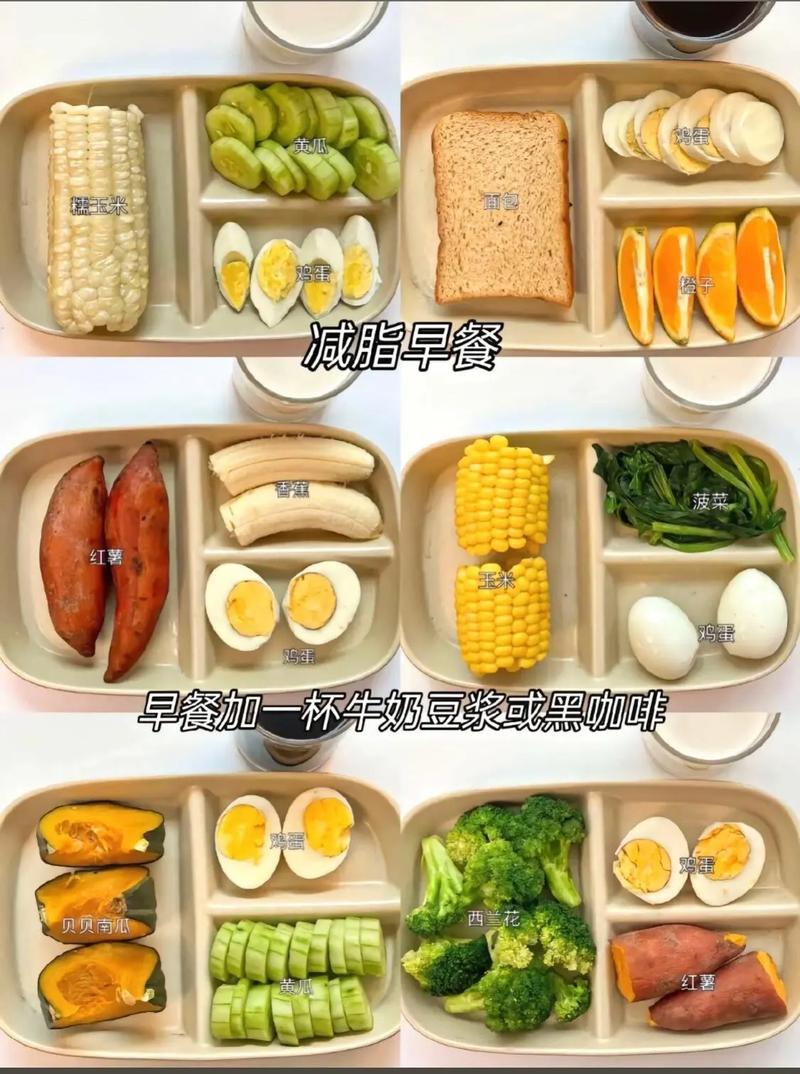 减肥饿了可以吃点什么