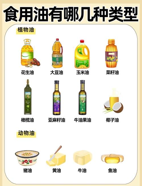 减肥吃什么植物油好