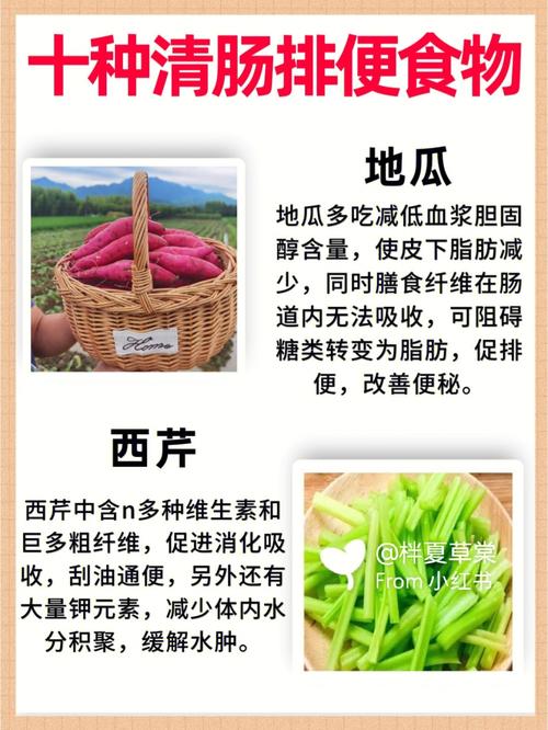 吃什么可以清宿便