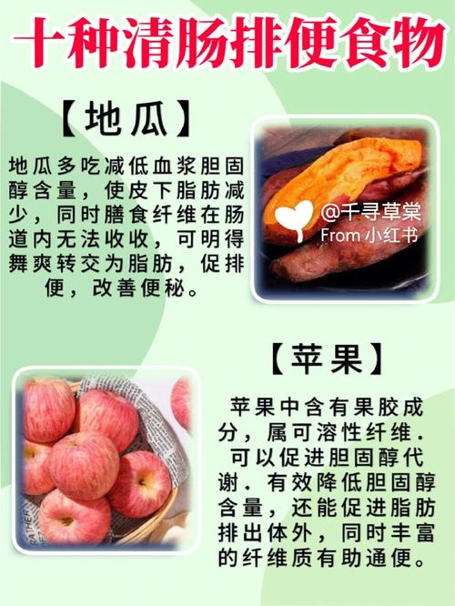 吃什么可以清宿便