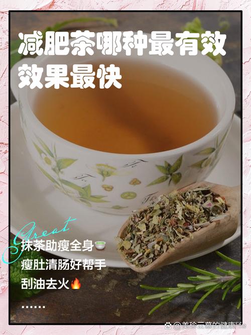 韩国有什么减肥茶