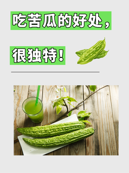 吃什么苦瓜可以减肥吗