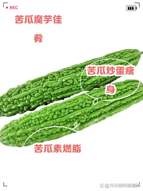 吃什么苦瓜可以减肥吗