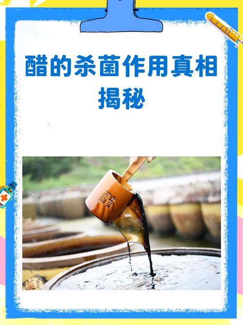 什么醋杀菌效果好