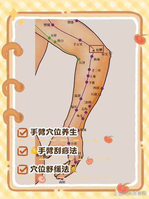 胳膊外侧是什么经络