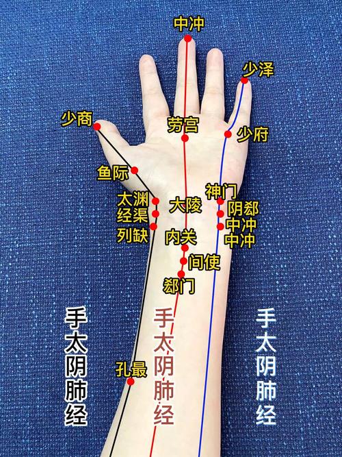 胳膊外侧是什么经络