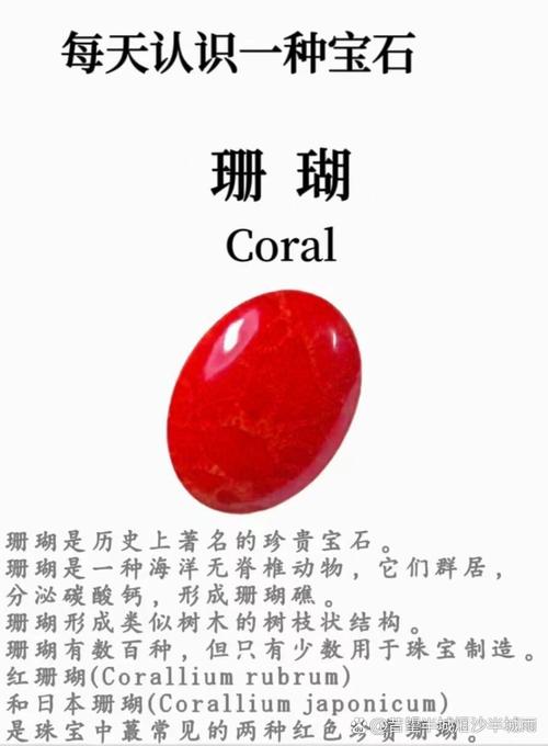 什么是珊瑚色