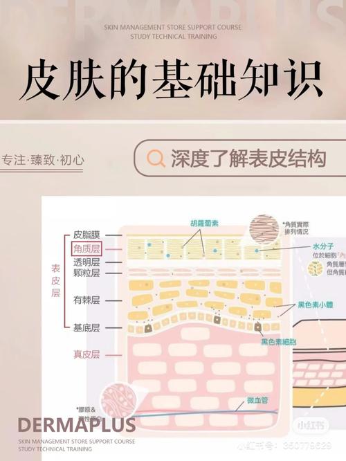 角质层薄是什么原因