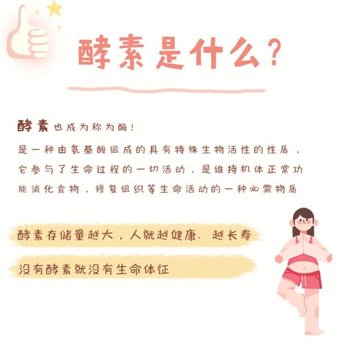 酵素减肥的原理是什么