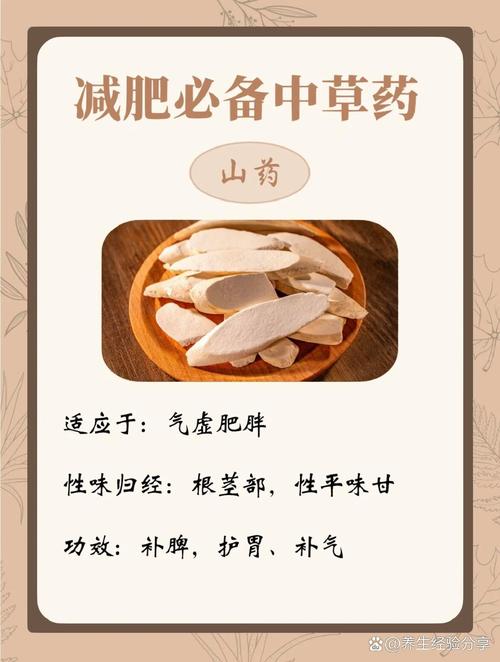 什么草药减肥最快