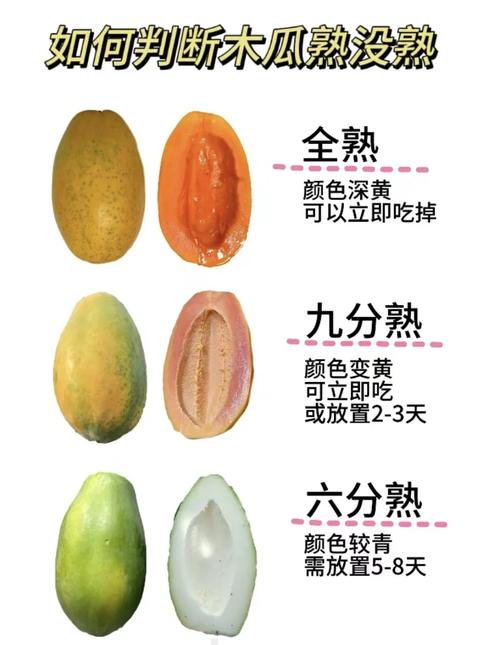什么时候吃木瓜减肥
