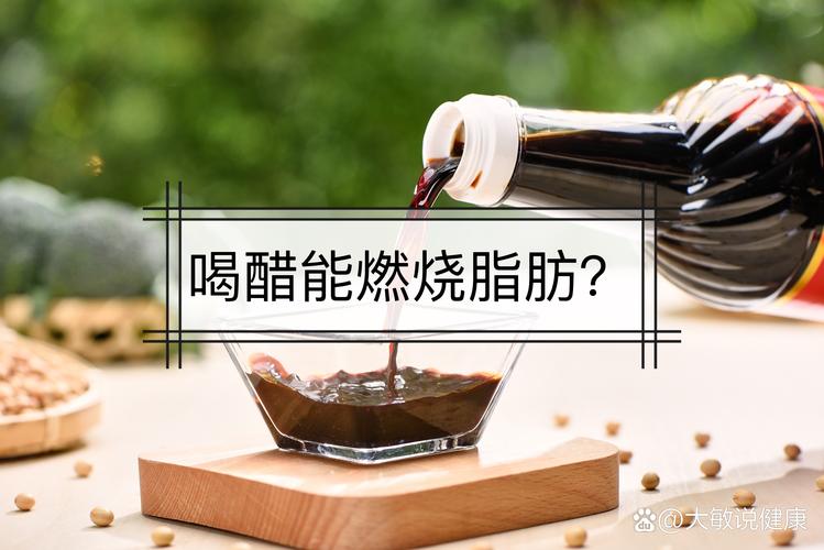 什么和醋可以减肥