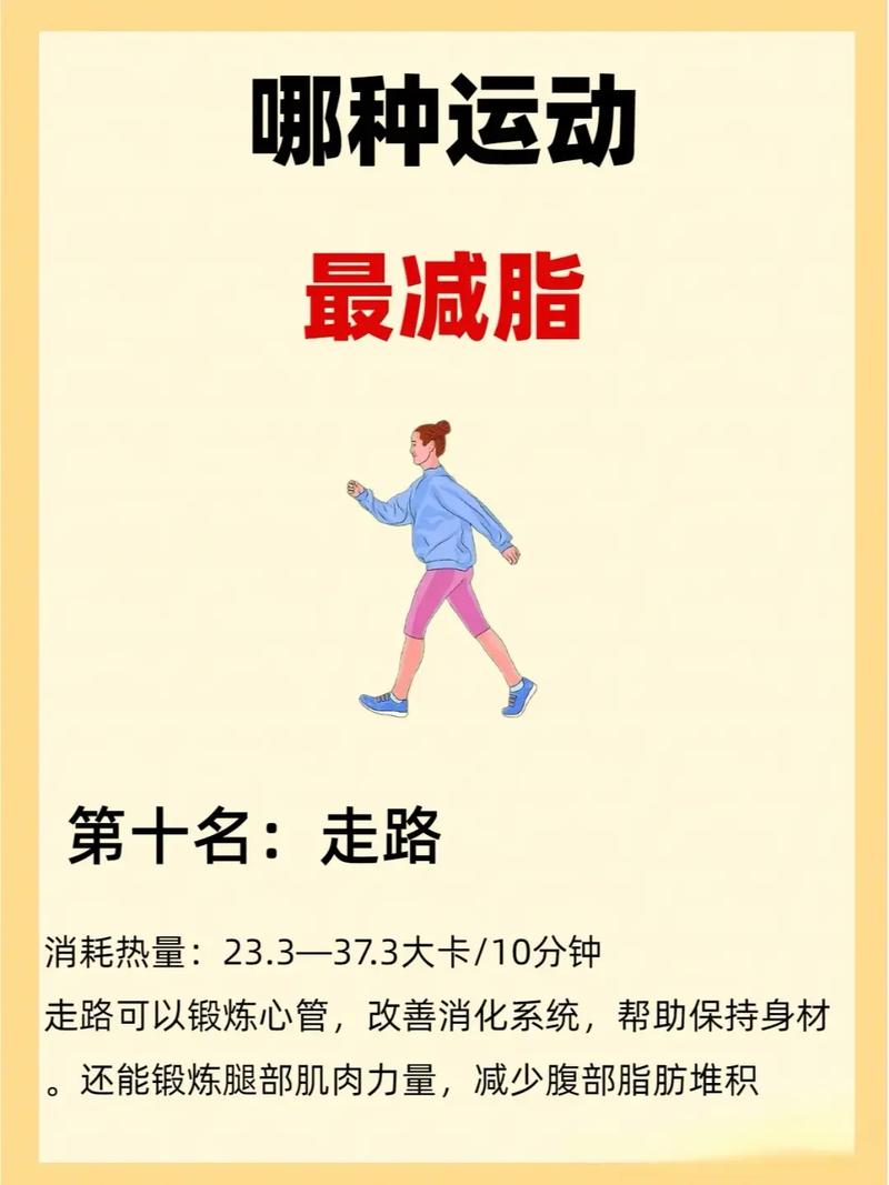 什么运动可以快速减肥