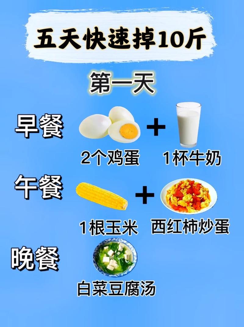 要吃什么才会减肥啊