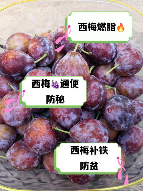 梅子什么时候候吃减肥
