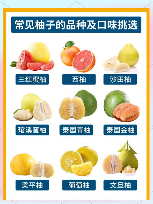 柚子什么吃才减肥
