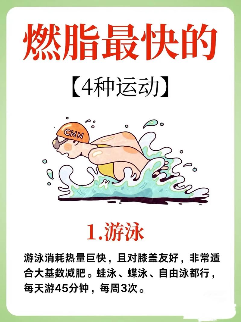 游泳为什么不减肥
