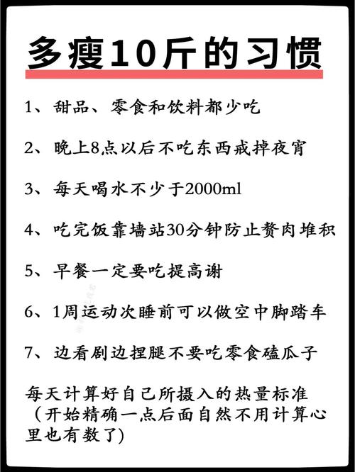 电脑减肥什么意思