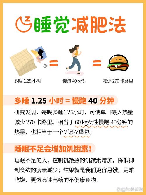 睡觉前吃什么减肥