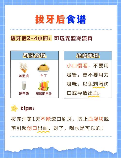 拔牙适合吃什么食物