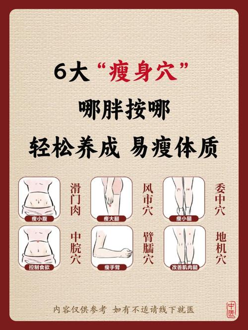按什么穴位减肥
