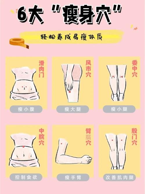 按什么穴位减肥