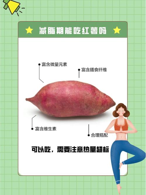 番薯什么时候吃才减肥
