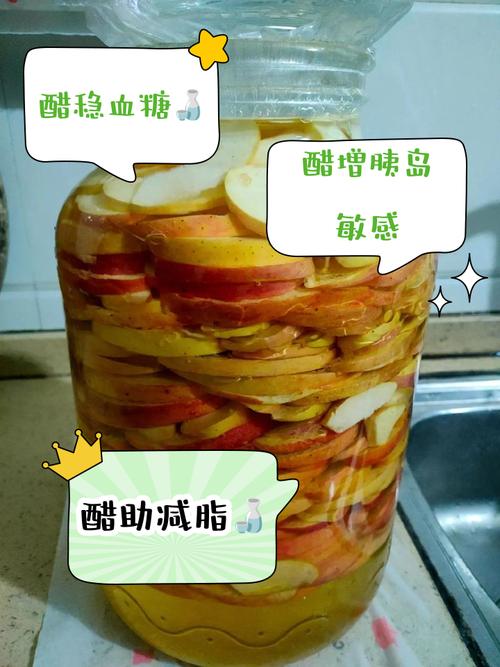 食醋减肥法用什么醋