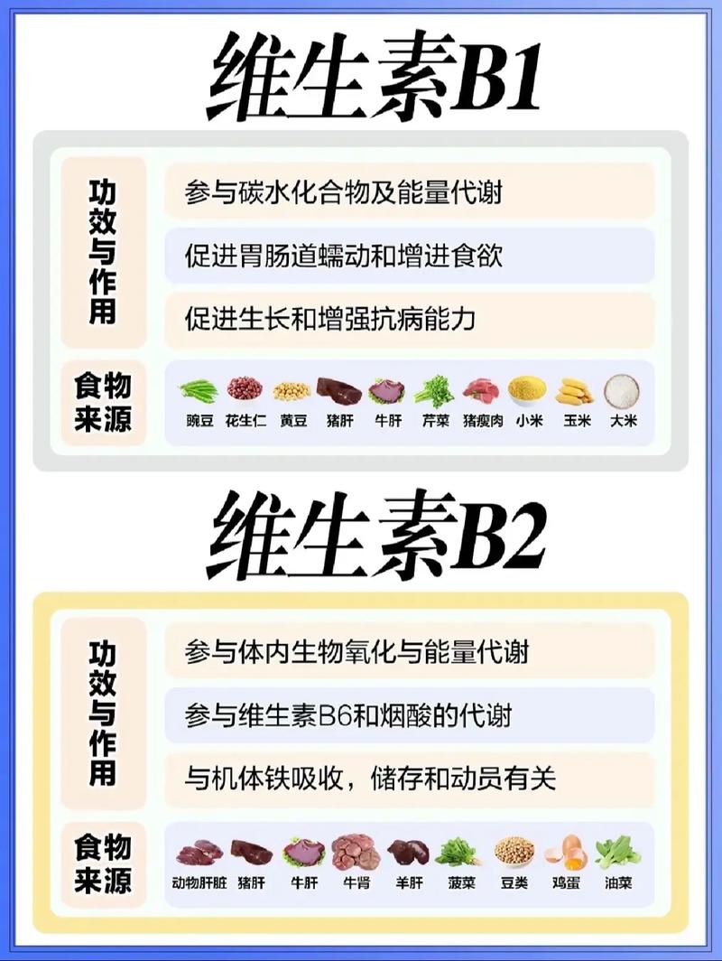 吃什么维生素减肥