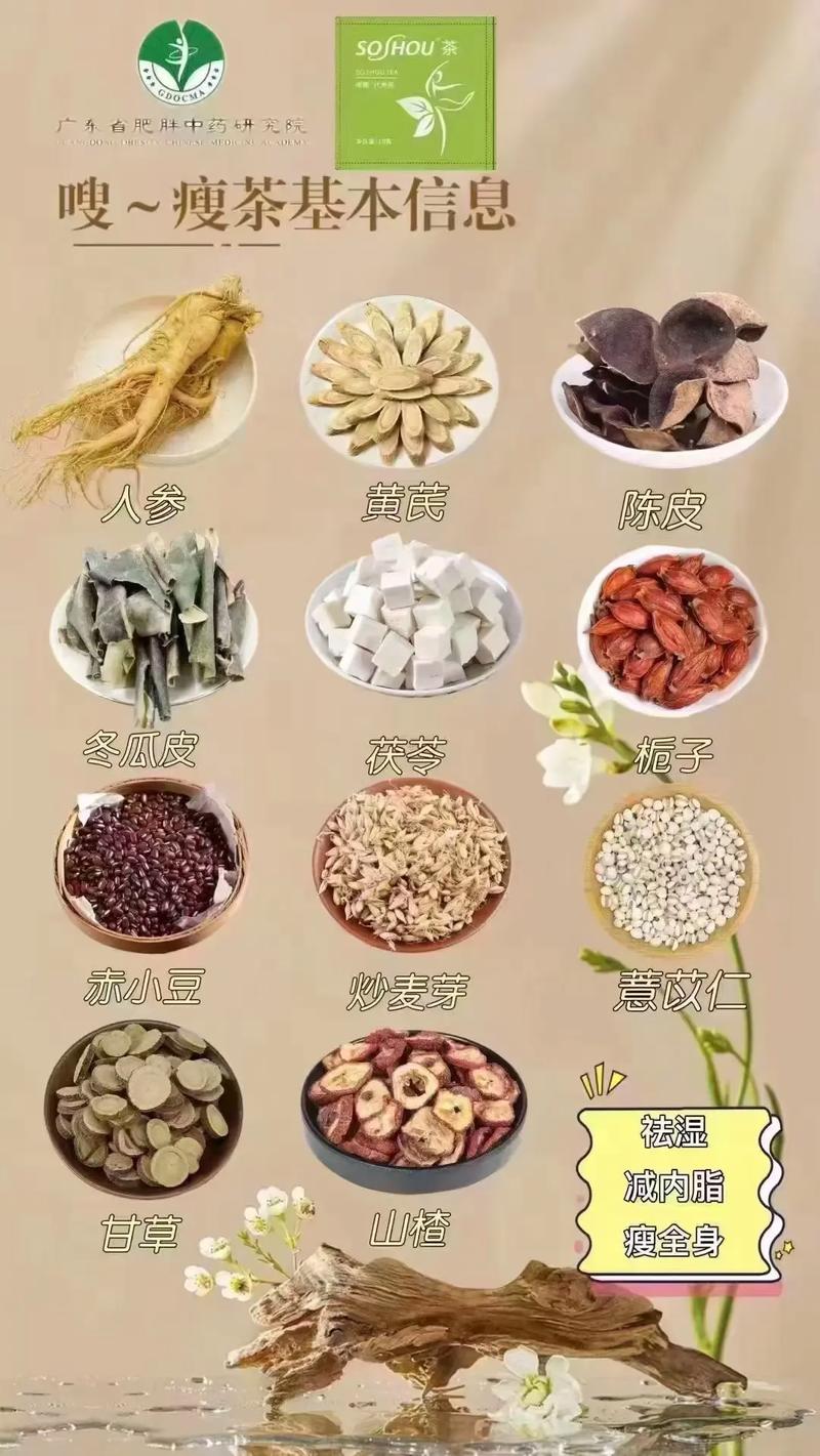 夏天喝什么中药可以减肥