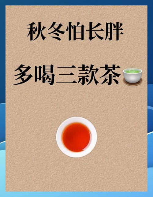 冬天适合喝什么茶减肥
