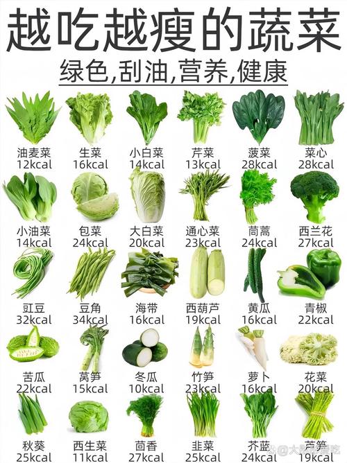 蔬菜类什么最减肥