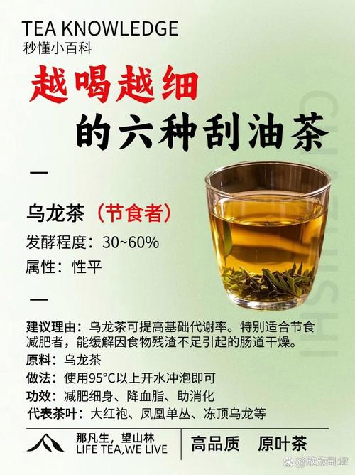 晚饭后喝什么茶减肥吗