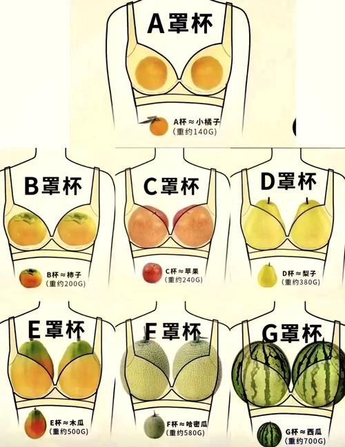 a罩杯和b罩杯有什么区别