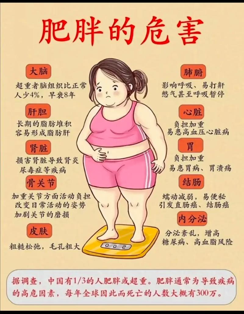 为什么减肥不瘦反而胖