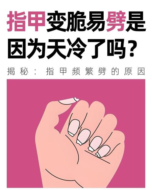 指甲变脆是什么原因