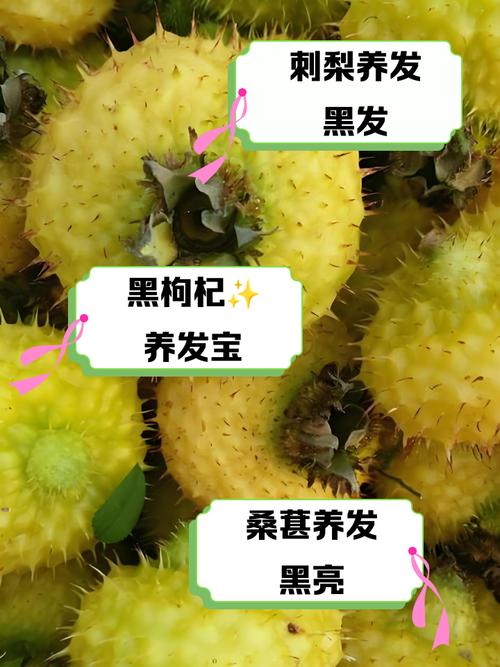 吃什么可以白头发变黑