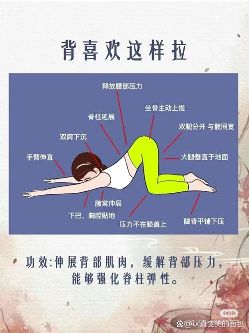 为什么减肥要拉伸