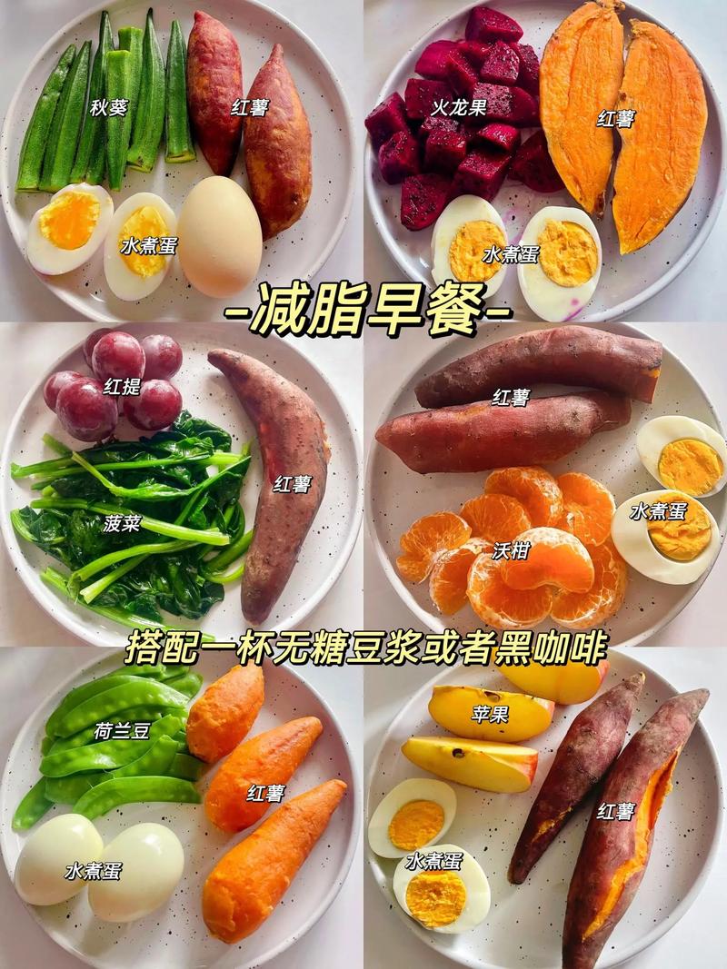 每天什么减肥好