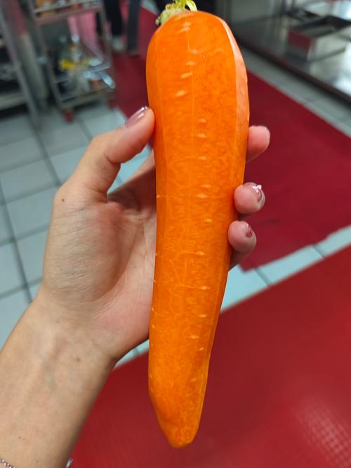 为什么胡萝卜汁能减肥吗