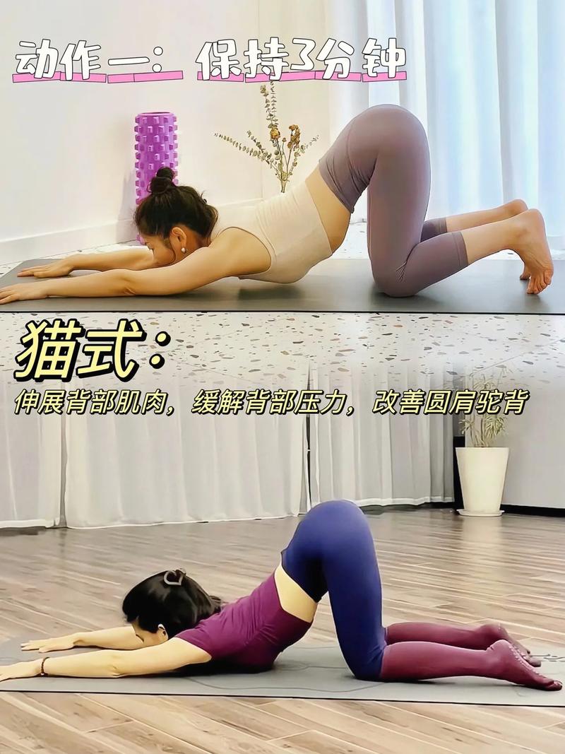 睡觉前能做什么运动减肥