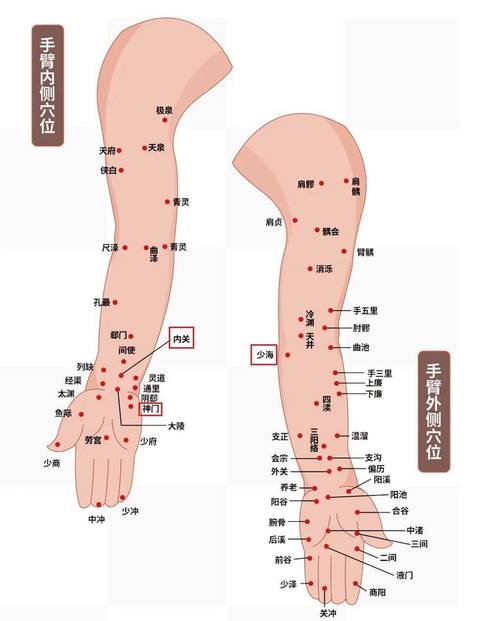 胳膊上有什么穴位