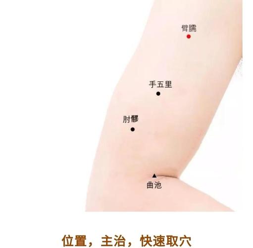 胳膊上有什么穴位