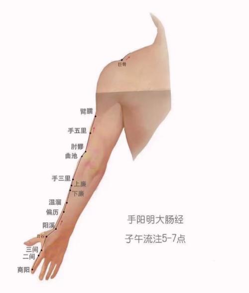 胳膊上有什么穴位