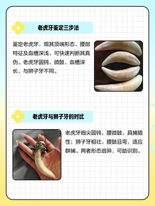 什么是老虎牙
