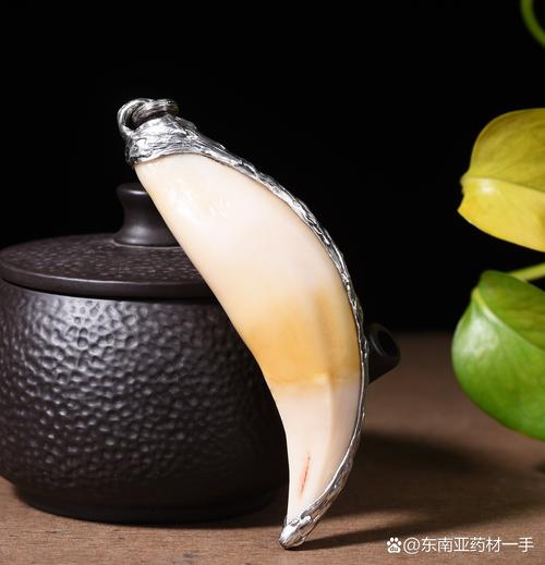 什么是老虎牙