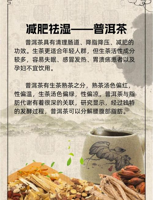 什么的普洱茶都能减肥