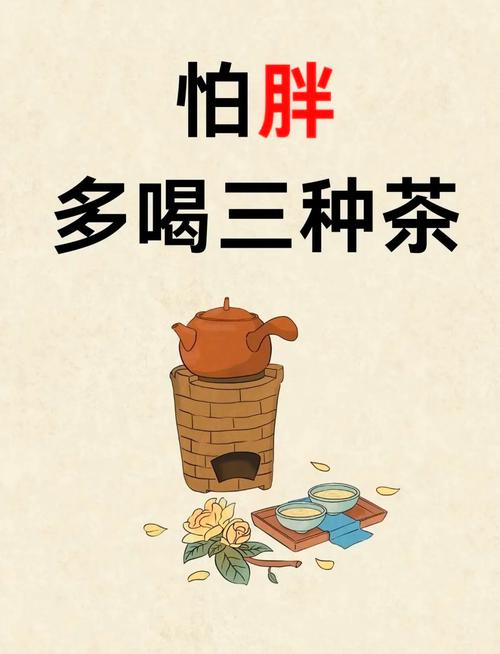 什么茶能减肥效果好吗