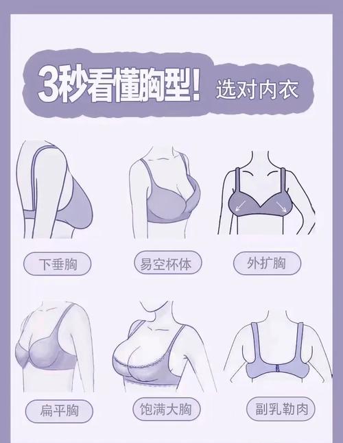 文胸什么型