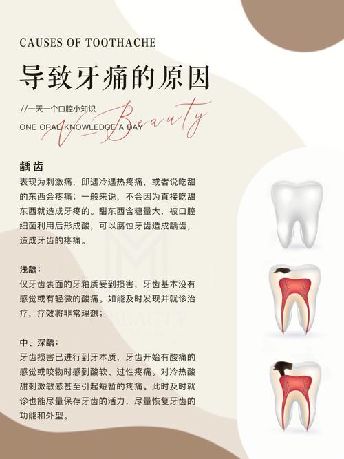 经常牙痛是什么原因